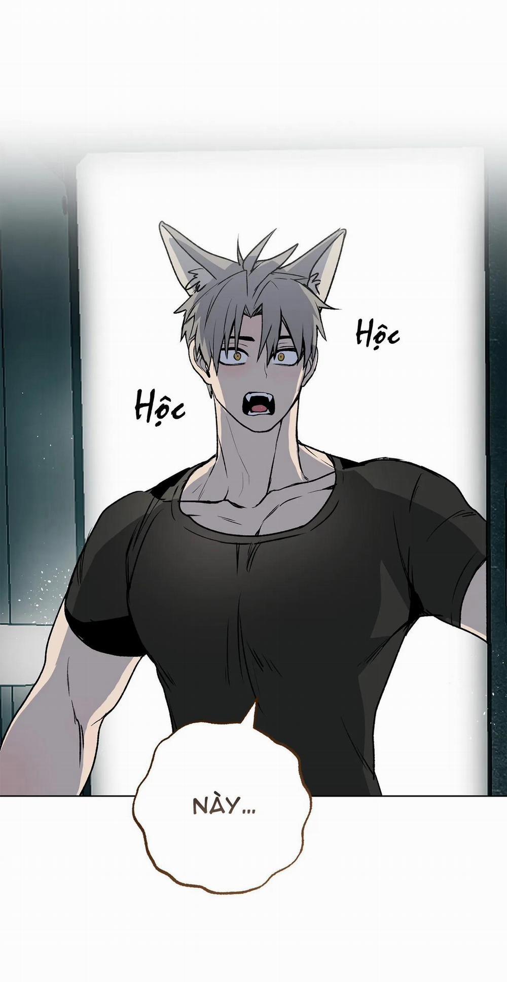 NEW ROMANCE 17 trang 24