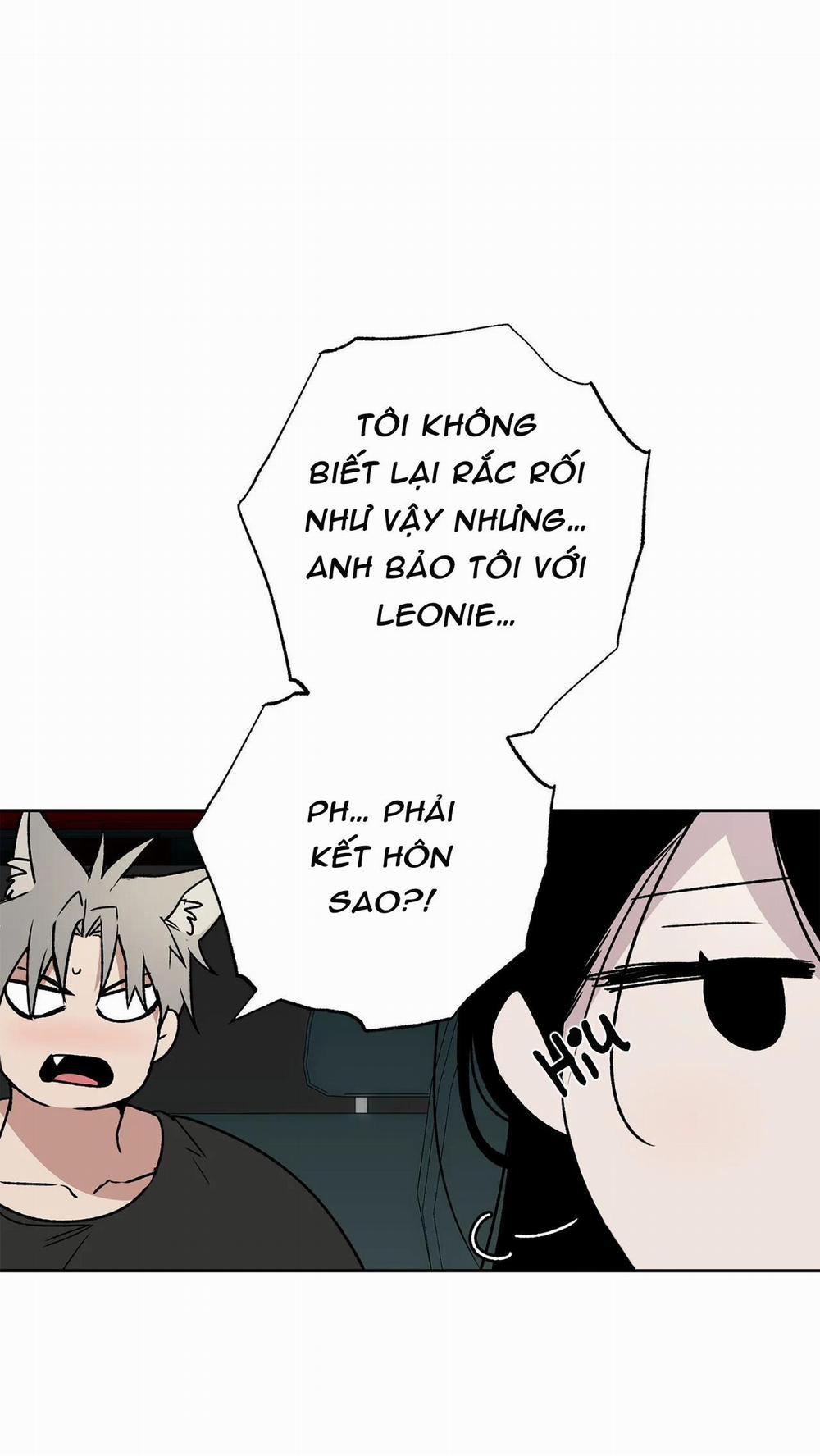 NEW ROMANCE 17 trang 5