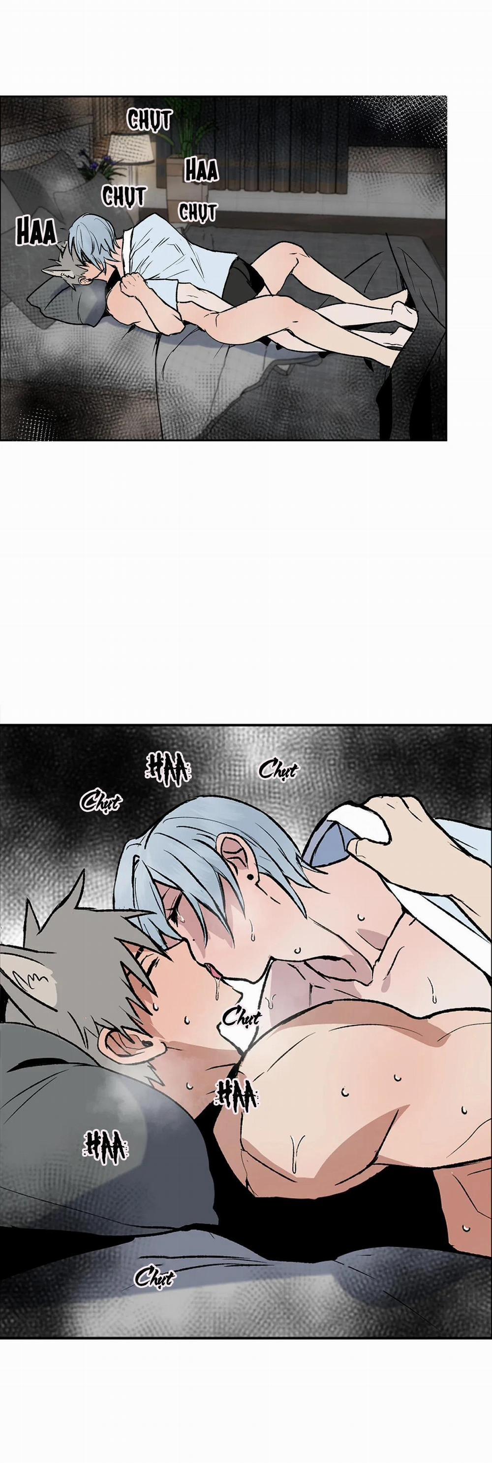 NEW ROMANCE 19 trang 1