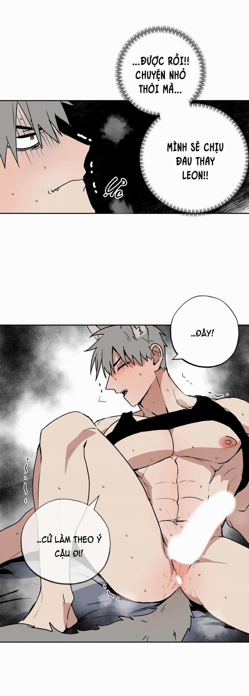 NEW ROMANCE 19 trang 17