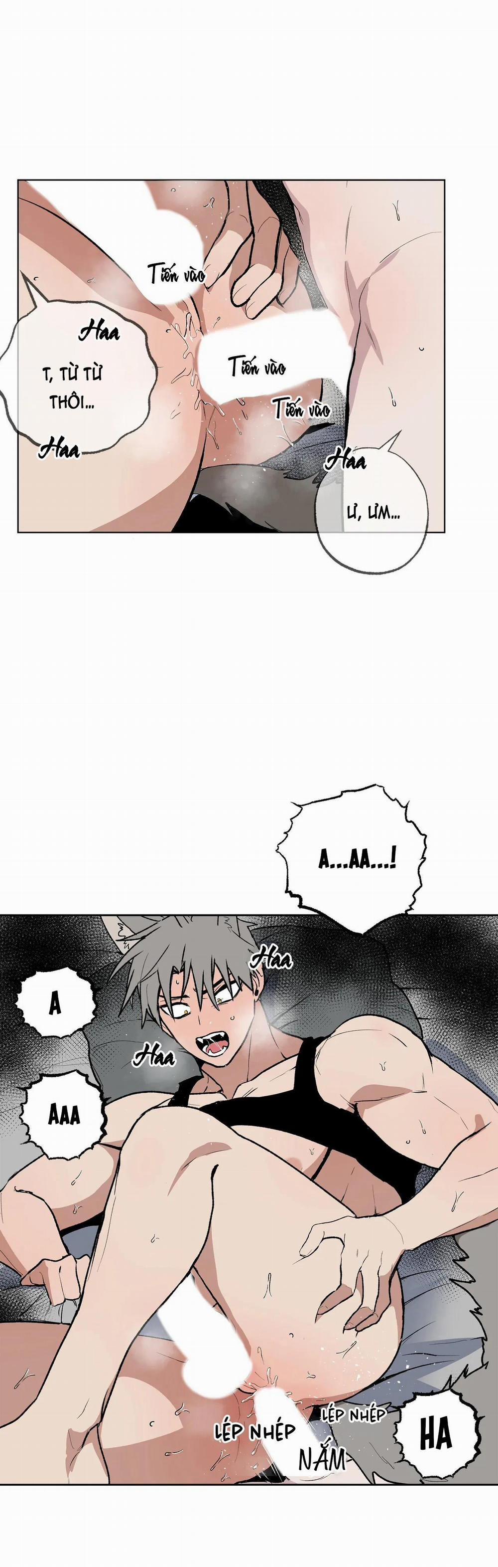 NEW ROMANCE 19 trang 20