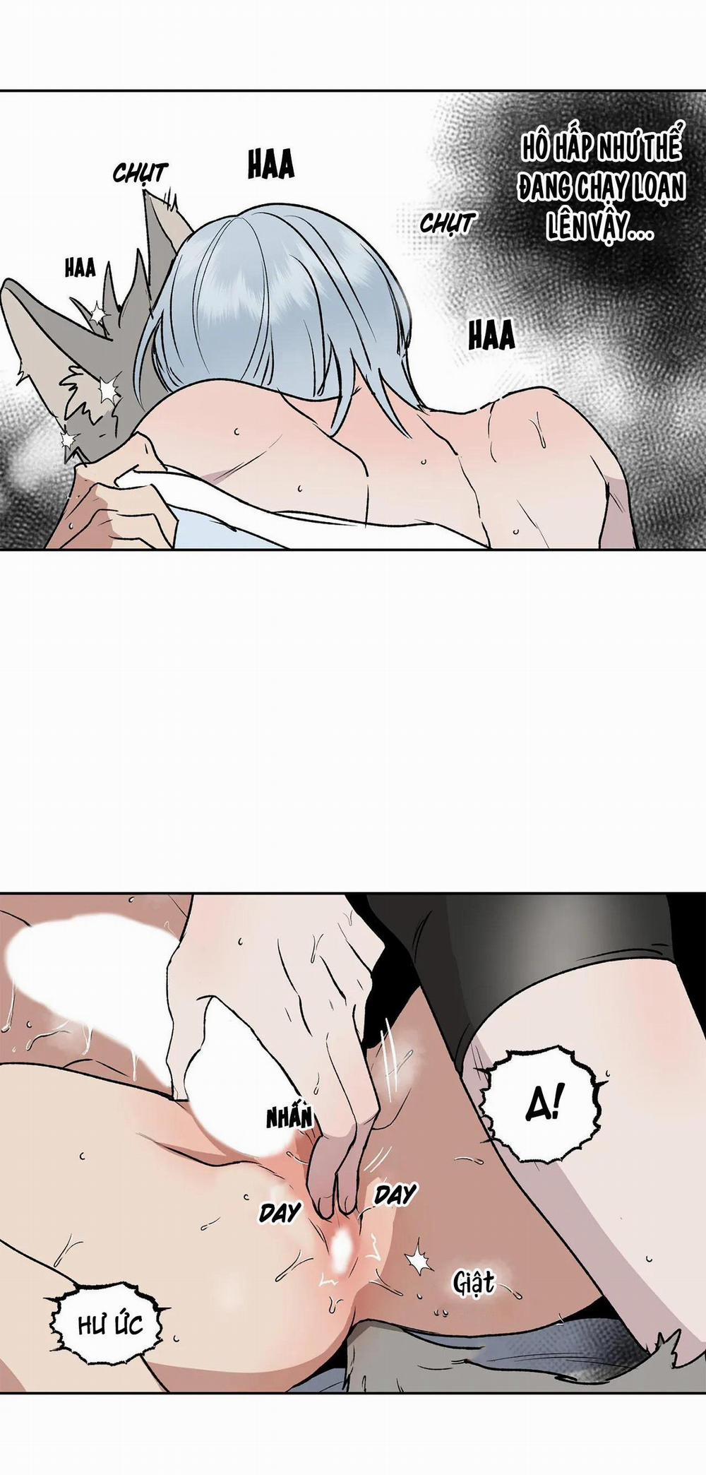 NEW ROMANCE 19 trang 3