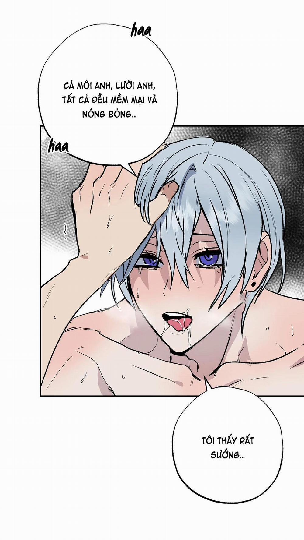 NEW ROMANCE 19 trang 5