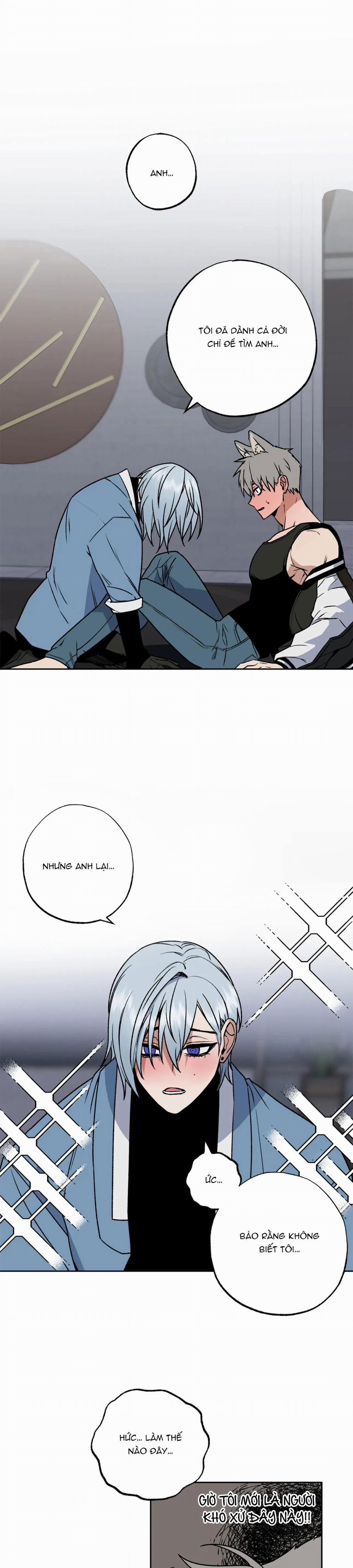 NEW ROMANCE 2 trang 0