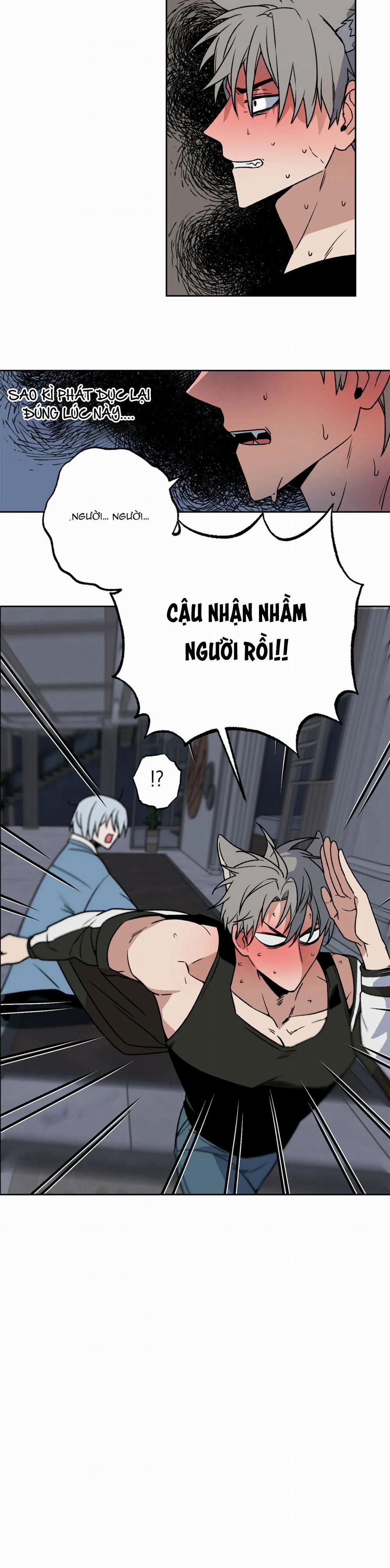 NEW ROMANCE 2 trang 1