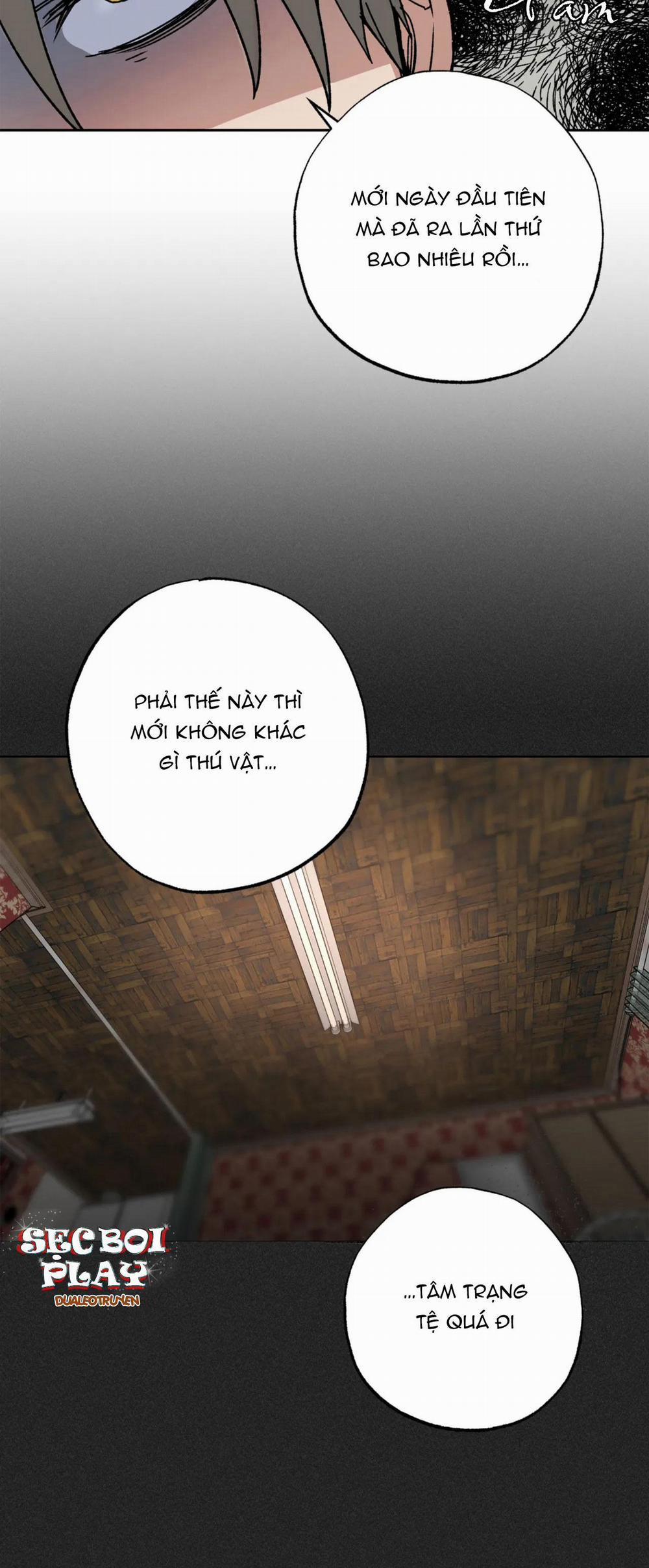 NEW ROMANCE 2 trang 11