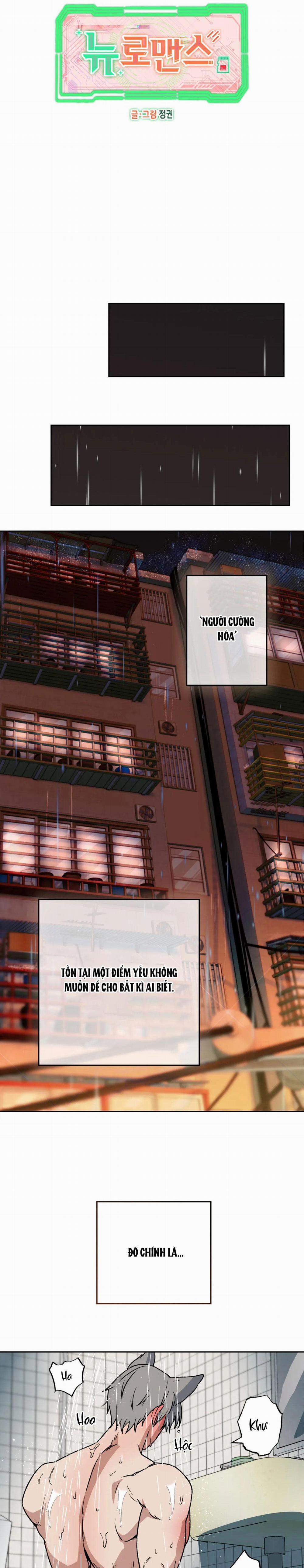 NEW ROMANCE 2 trang 2