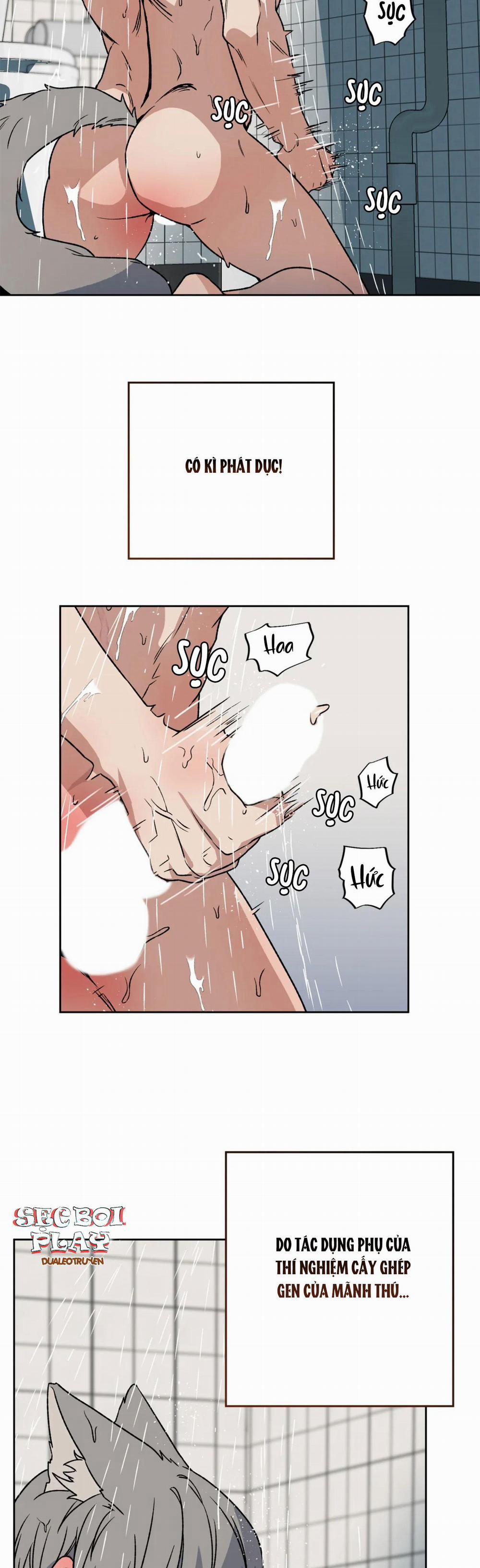 NEW ROMANCE 2 trang 3