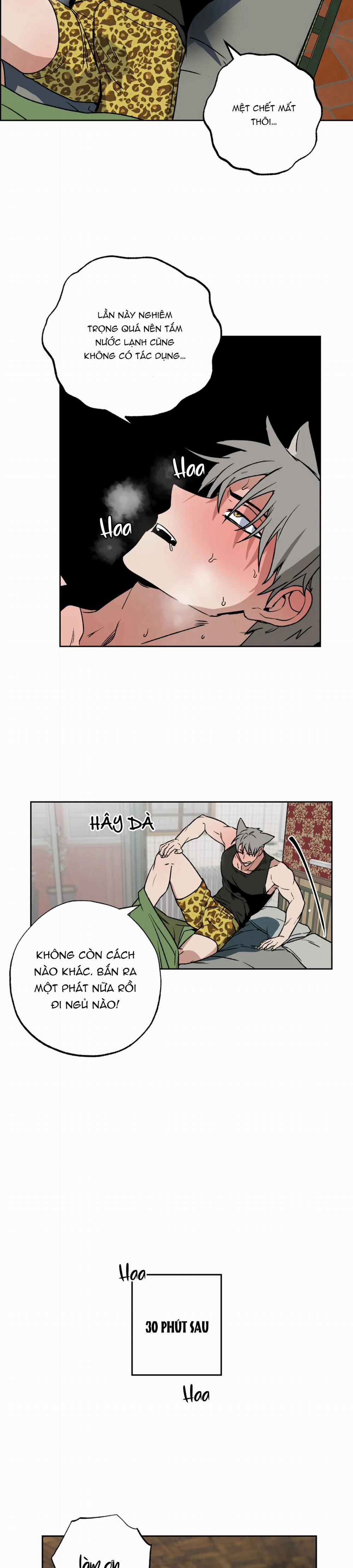 NEW ROMANCE 2 trang 8