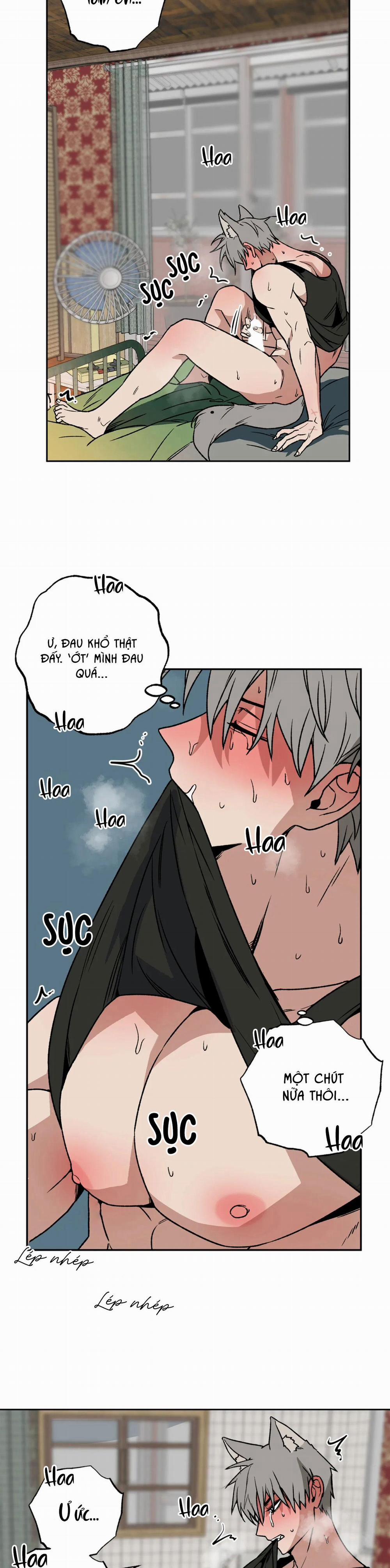 NEW ROMANCE 2 trang 9