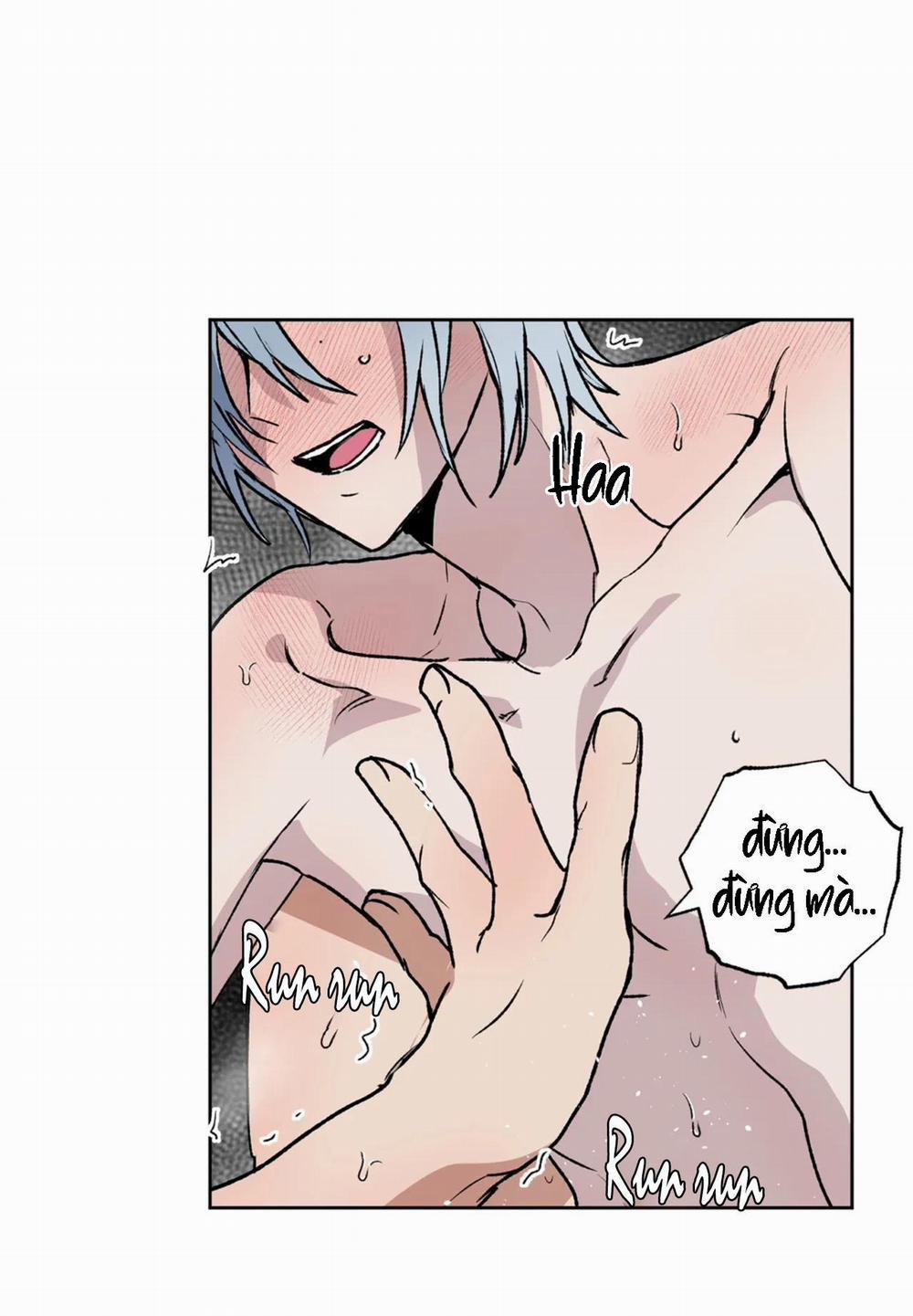 NEW ROMANCE 20 trang 13