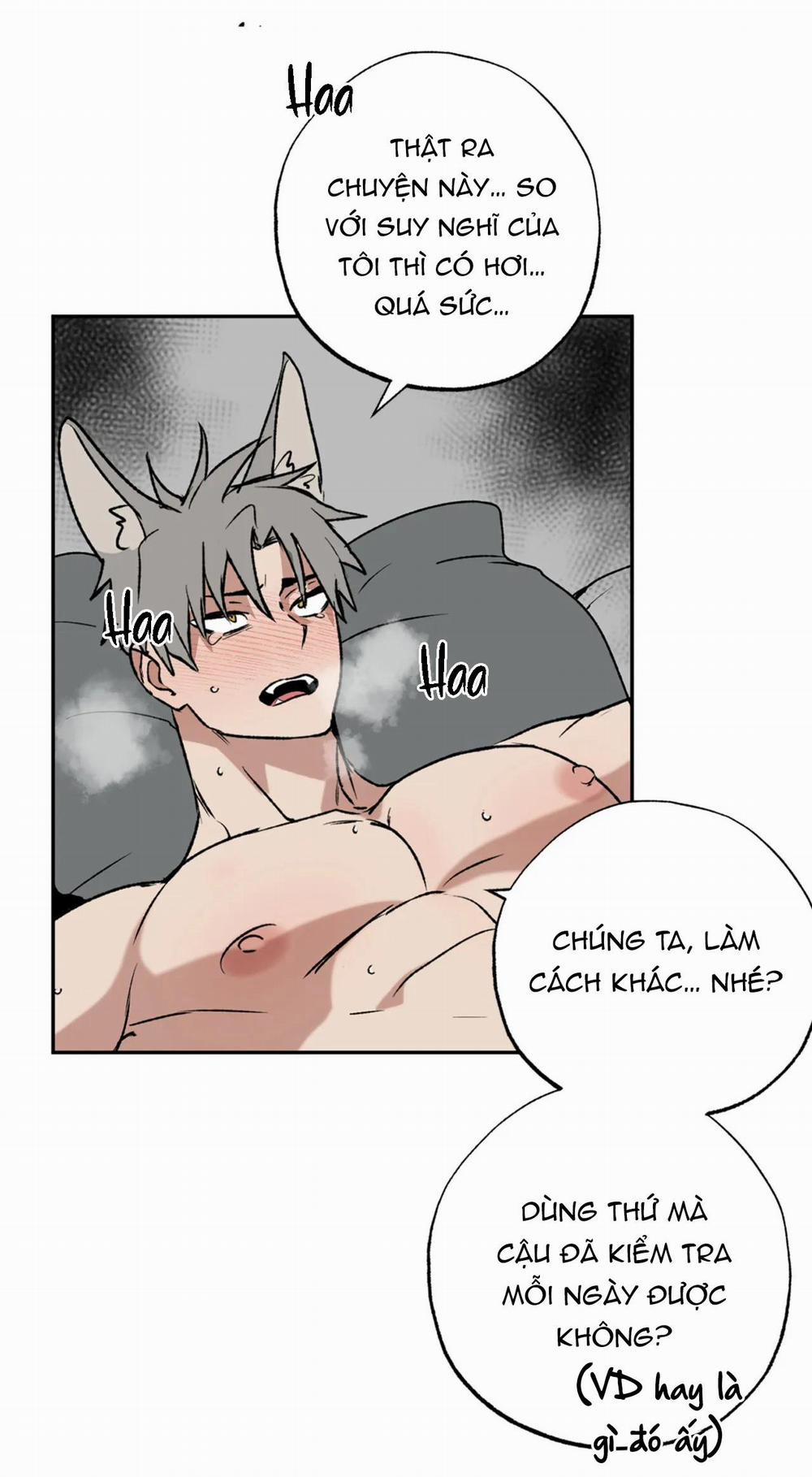 NEW ROMANCE 20 trang 2