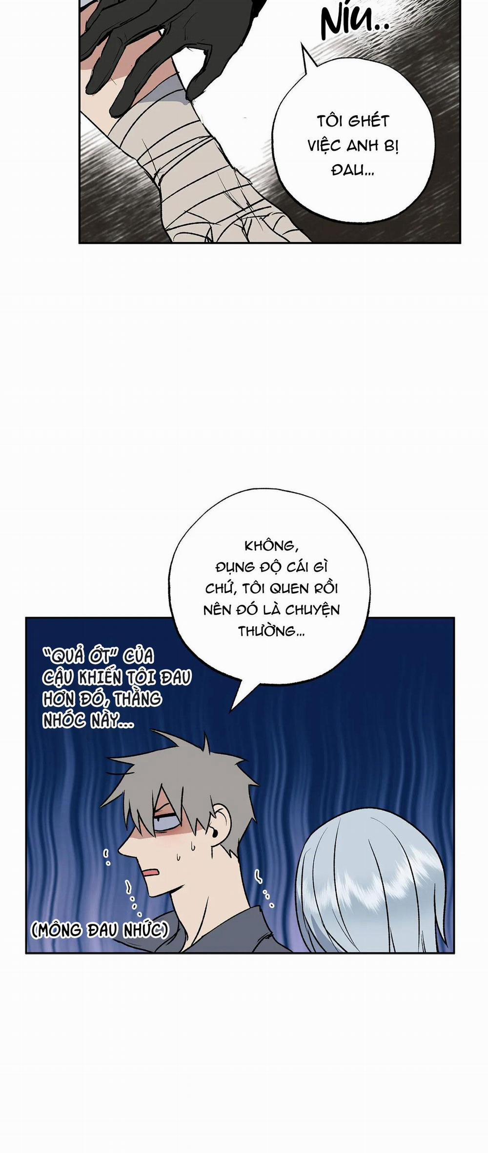 NEW ROMANCE 21 trang 5