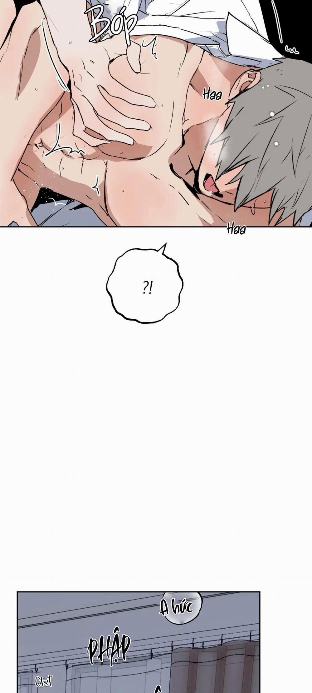 NEW ROMANCE 22 trang 37