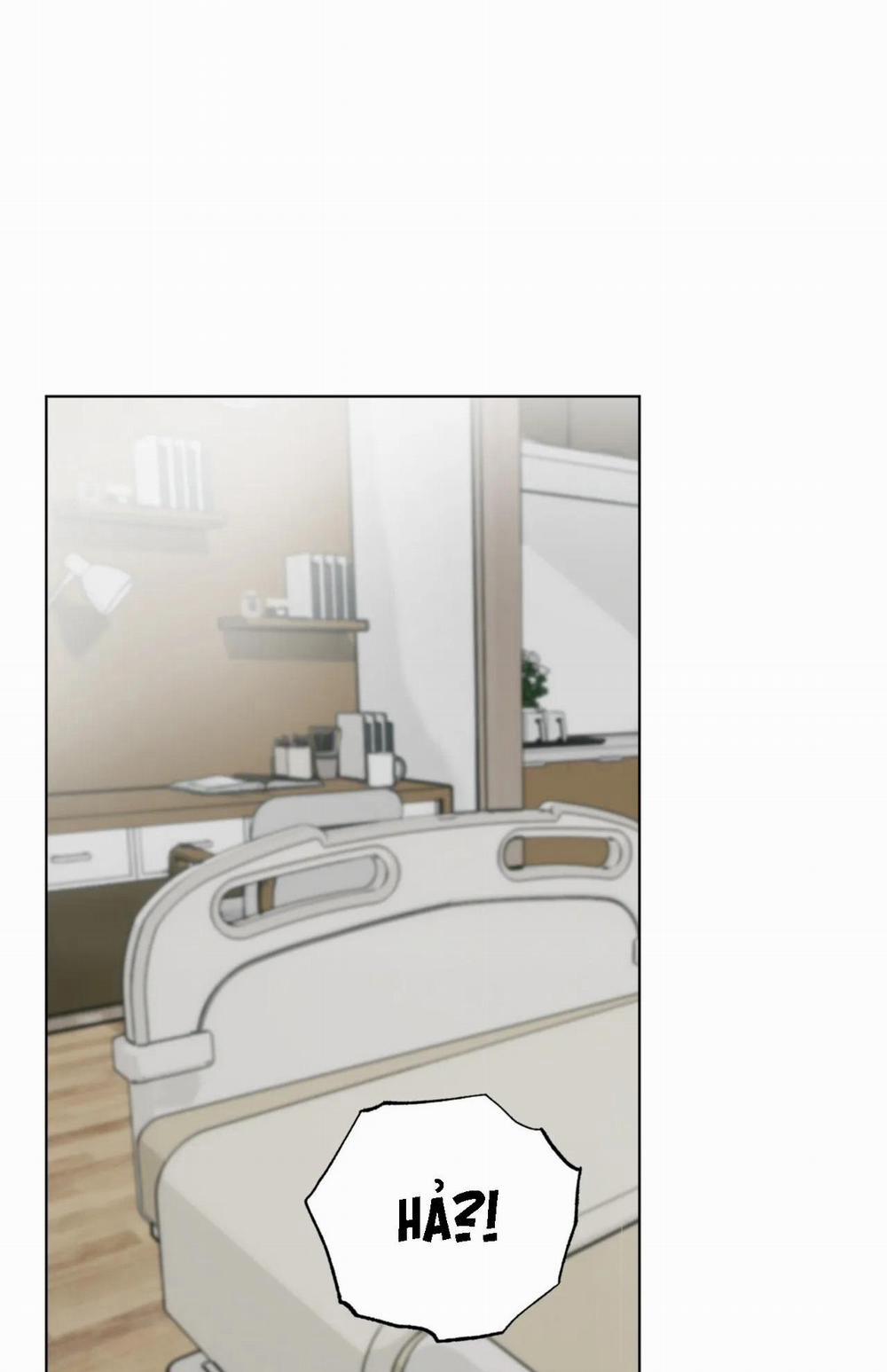 NEW ROMANCE 24 trang 19