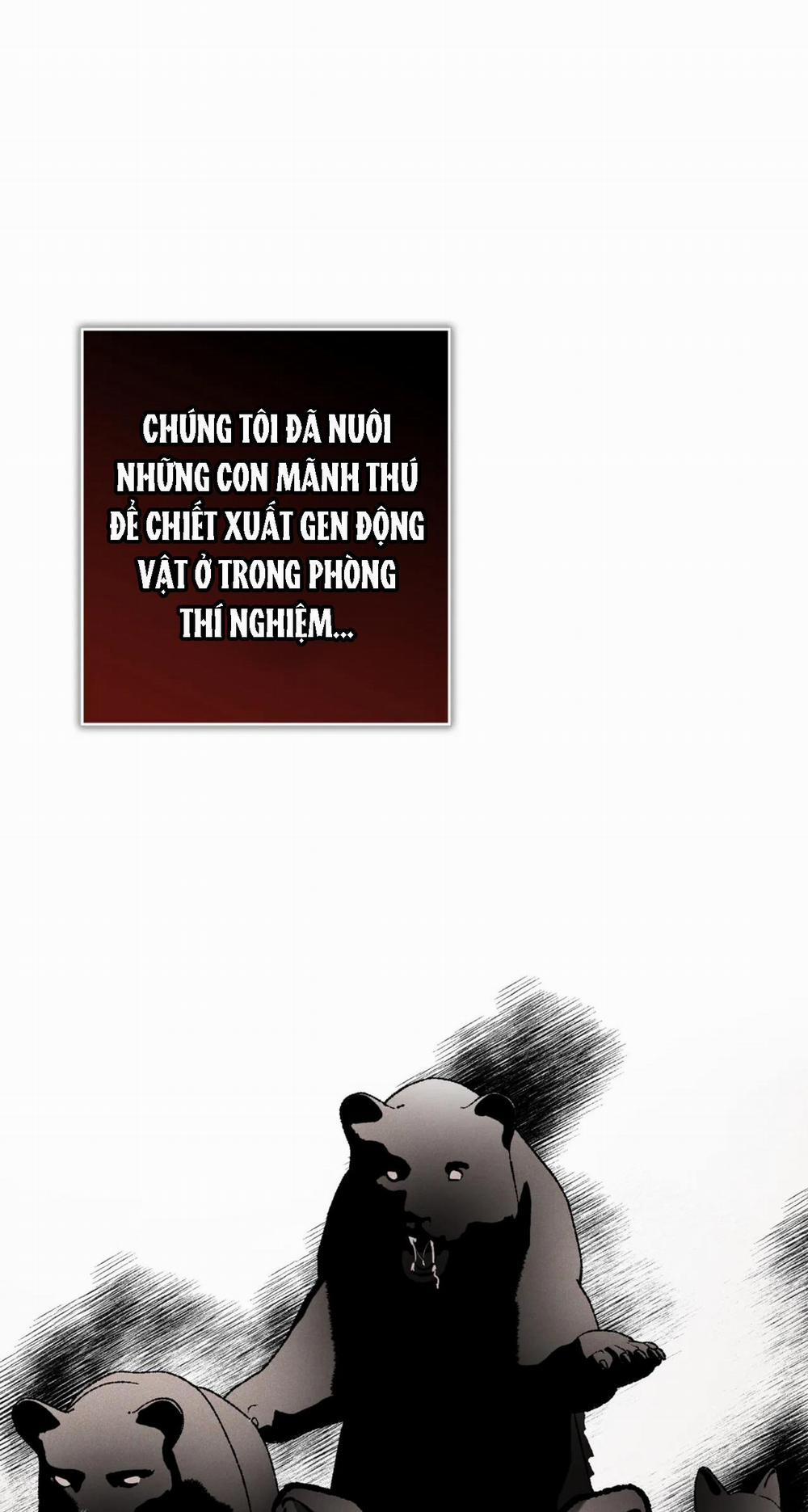 NEW ROMANCE 24 trang 5