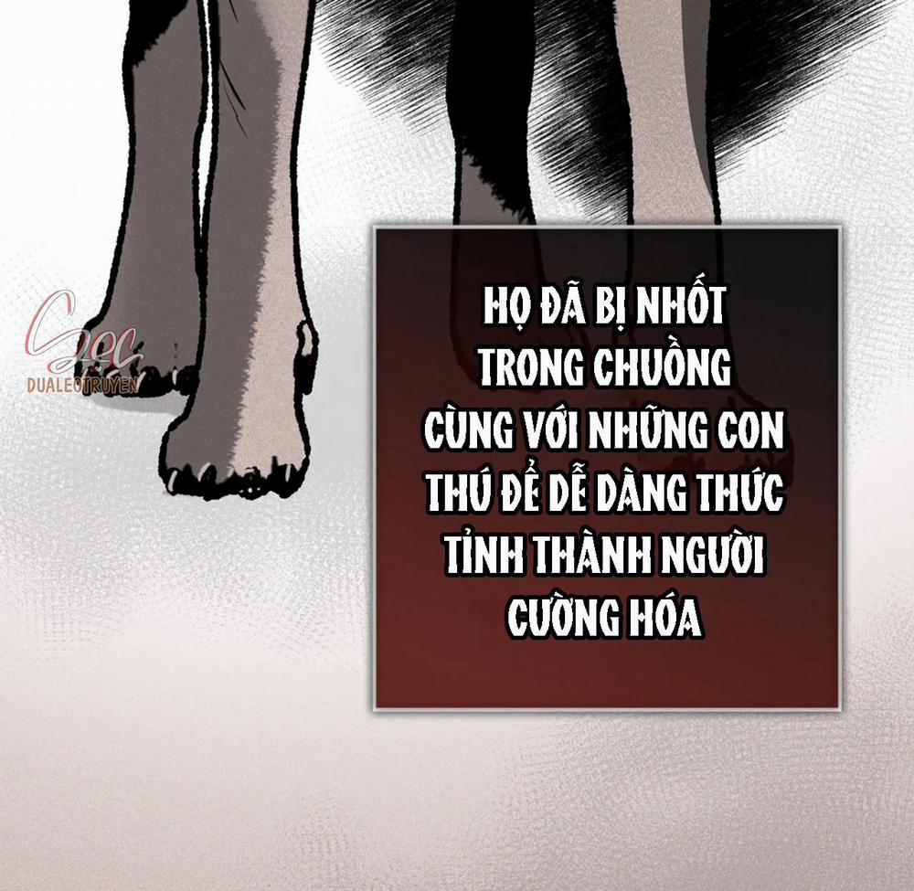 NEW ROMANCE 24 trang 7