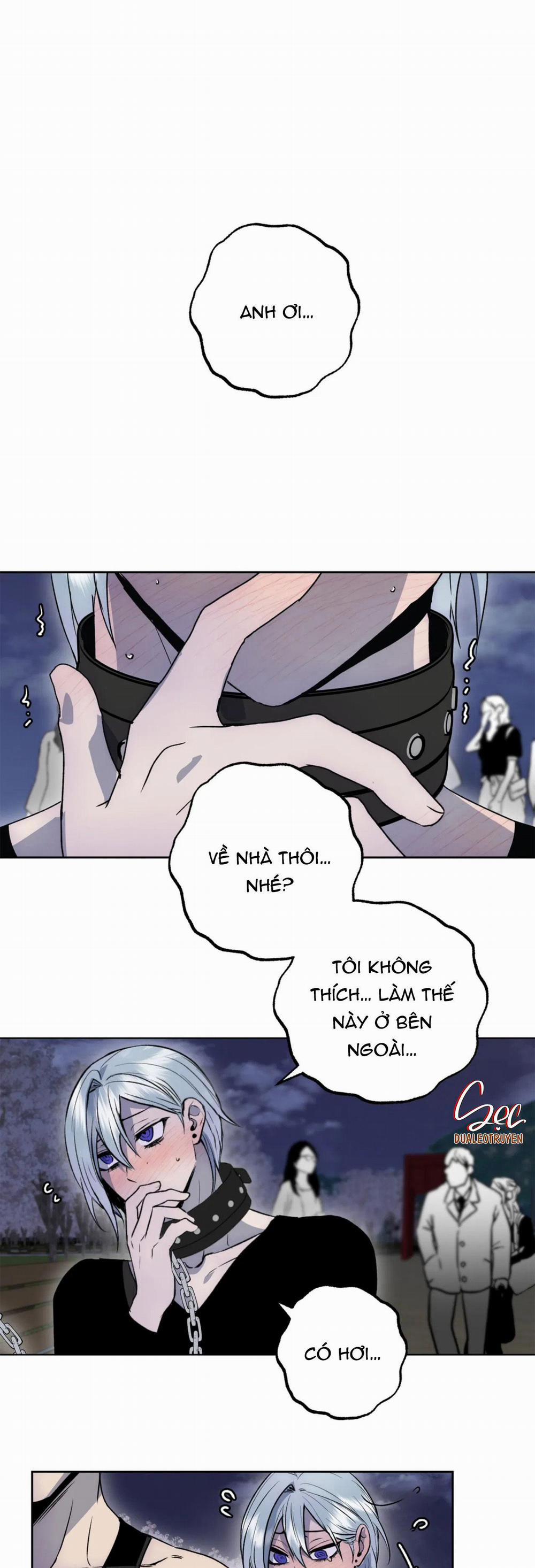 NEW ROMANCE 25 trang 0