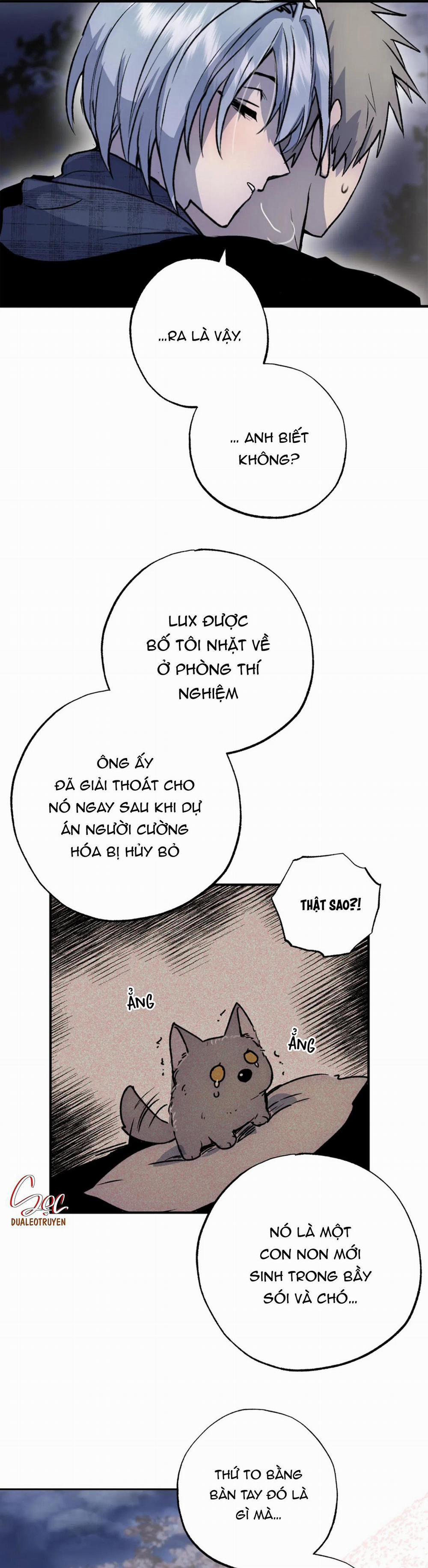 NEW ROMANCE 25 trang 27