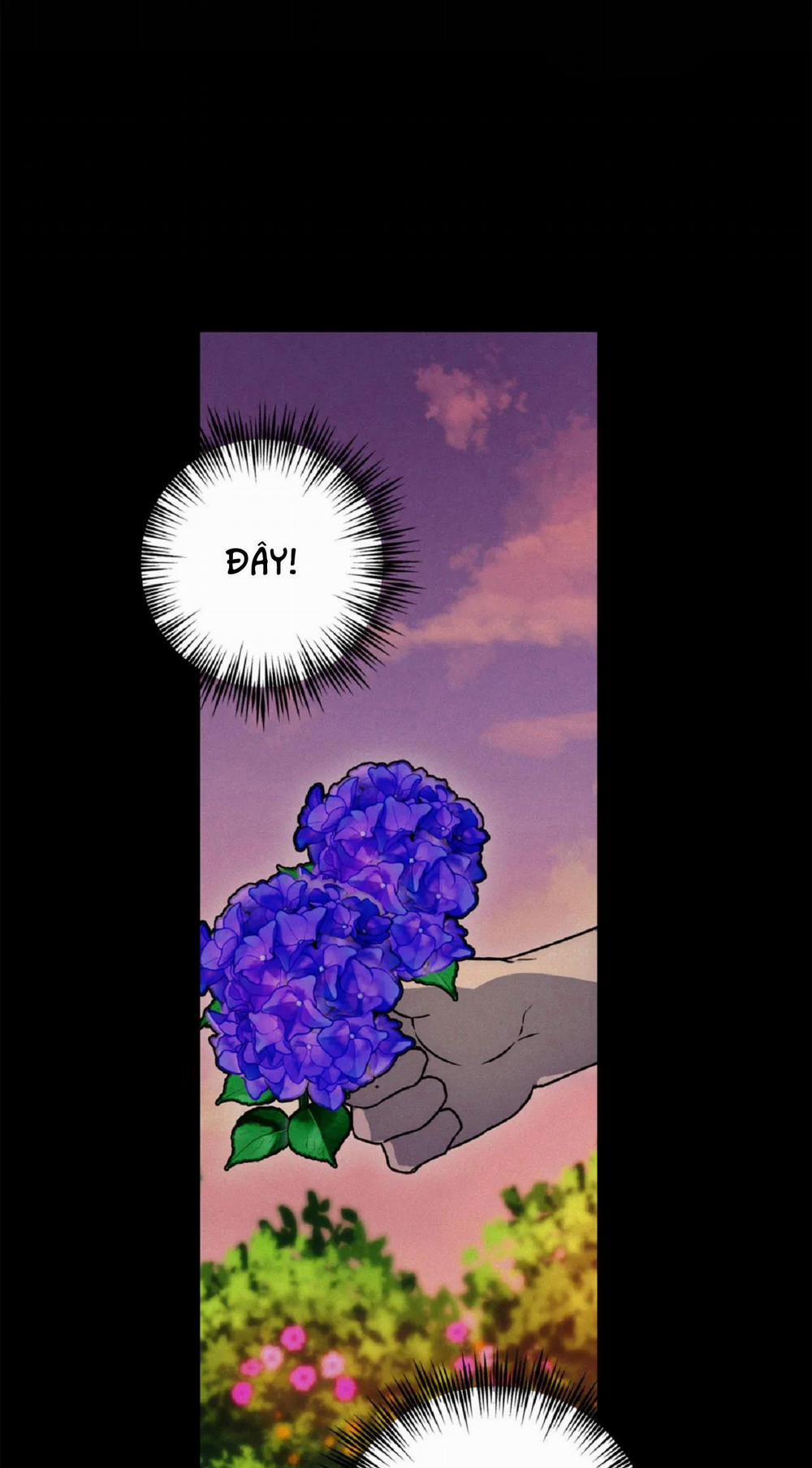 NEW ROMANCE 26 trang 19