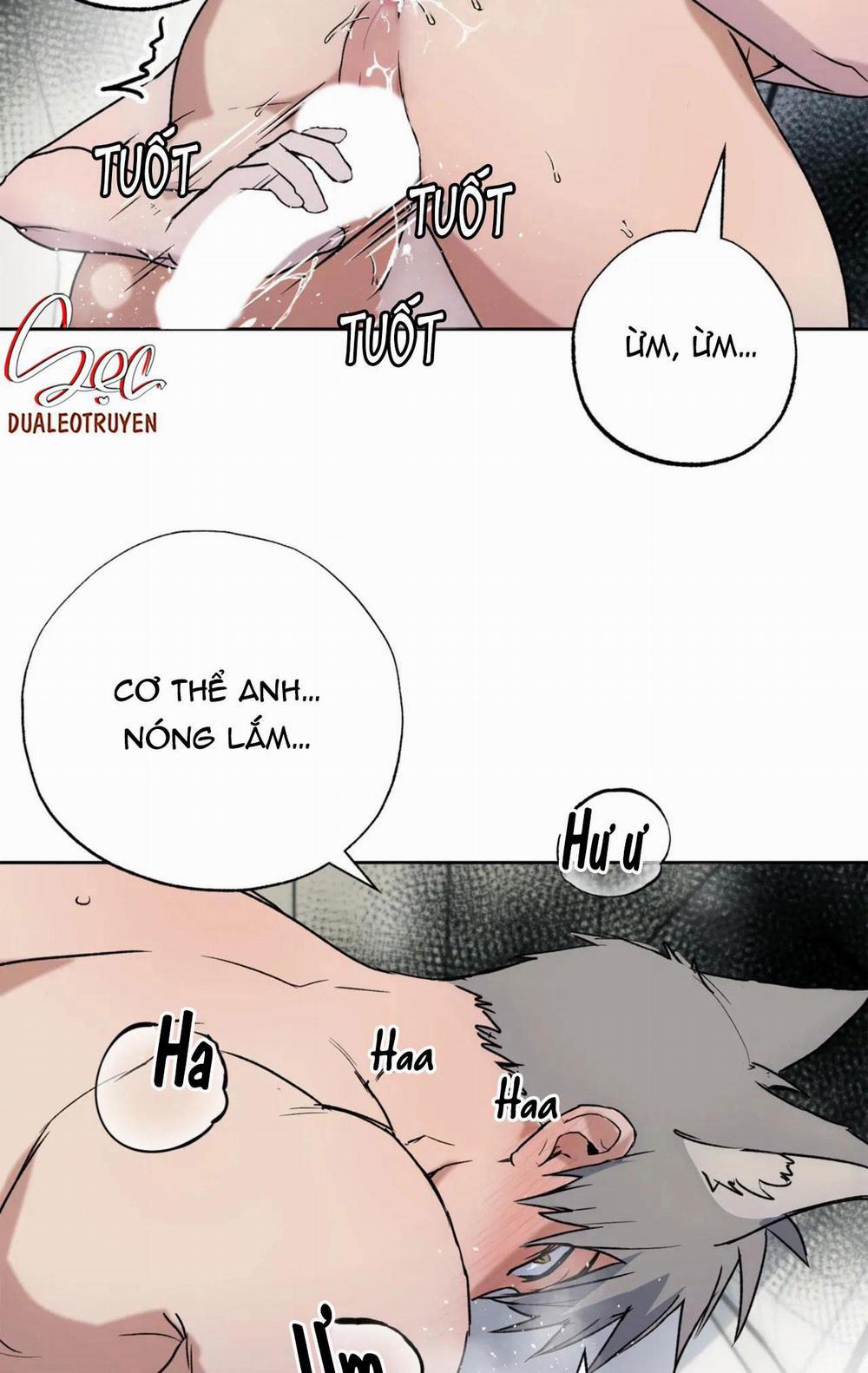 NEW ROMANCE 27 END trang 4