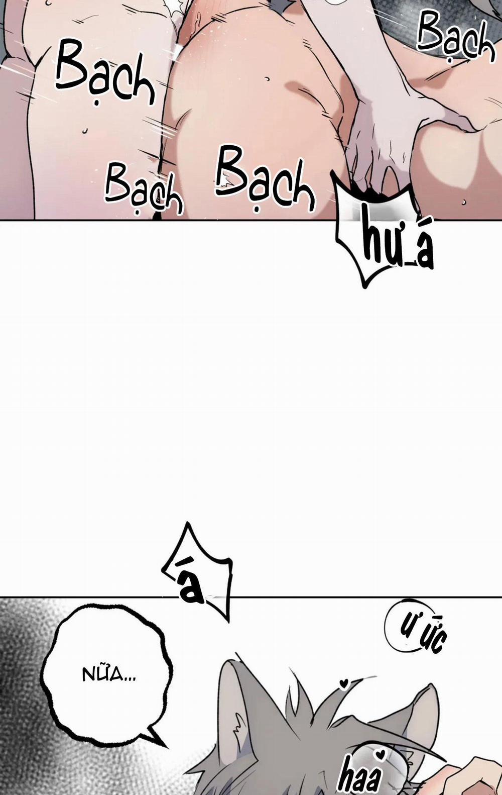 NEW ROMANCE 27 trang 11