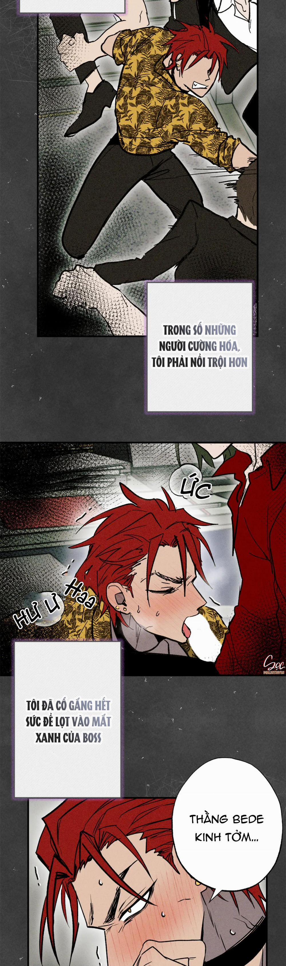 NEW ROMANCE 28 NGOẠI TRUYỆN 1 trang 21