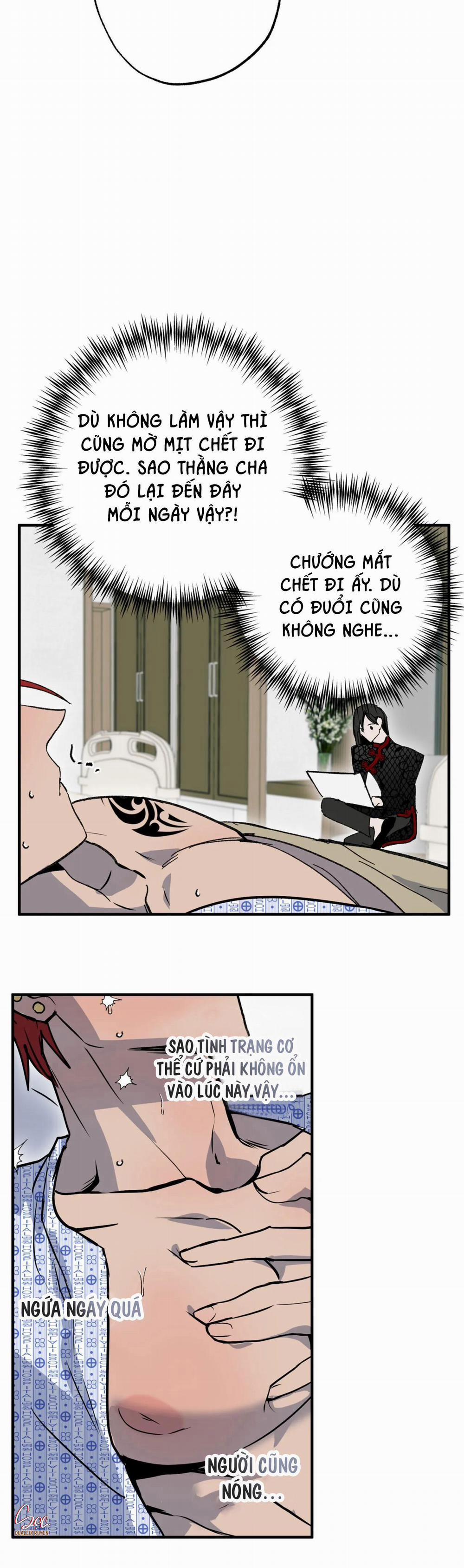 NEW ROMANCE 28 NGOẠI TRUYỆN 1 trang 24