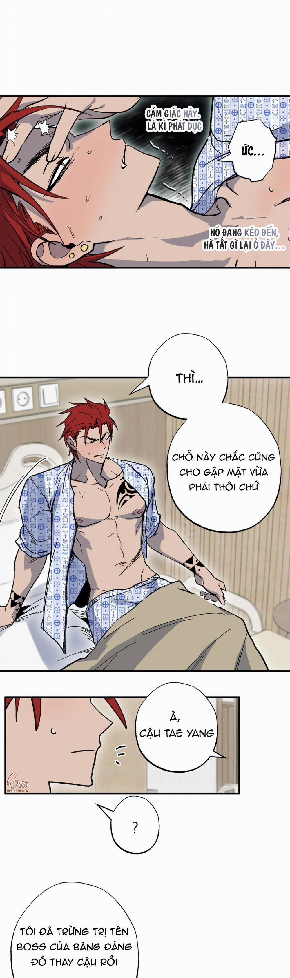 NEW ROMANCE 28 NGOẠI TRUYỆN 1 trang 25