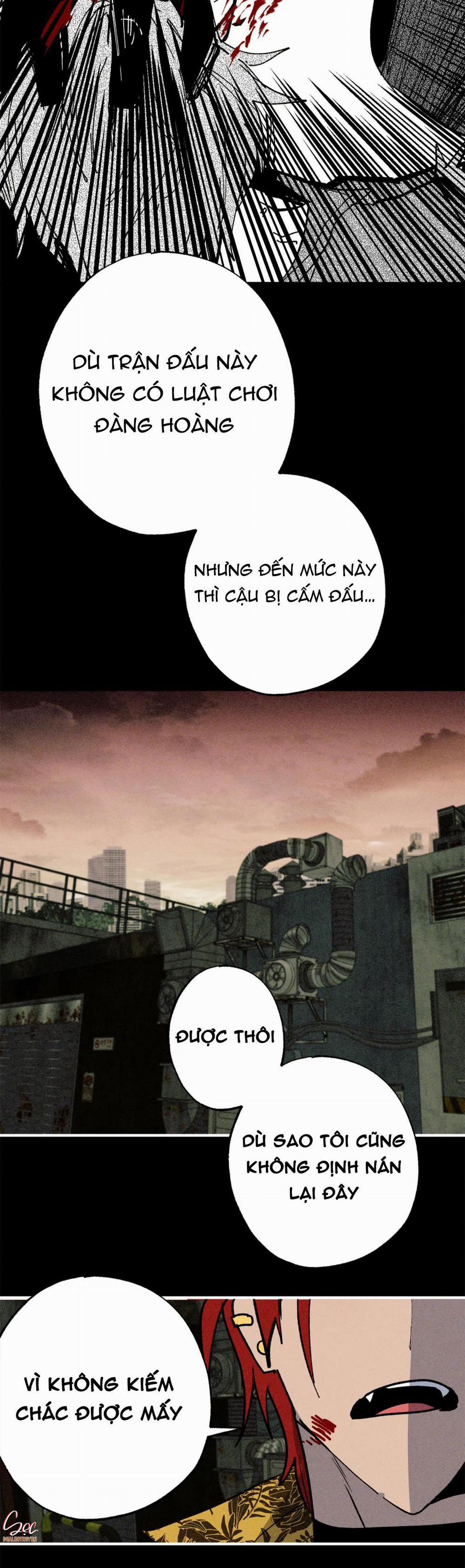 NEW ROMANCE 28 trang 11