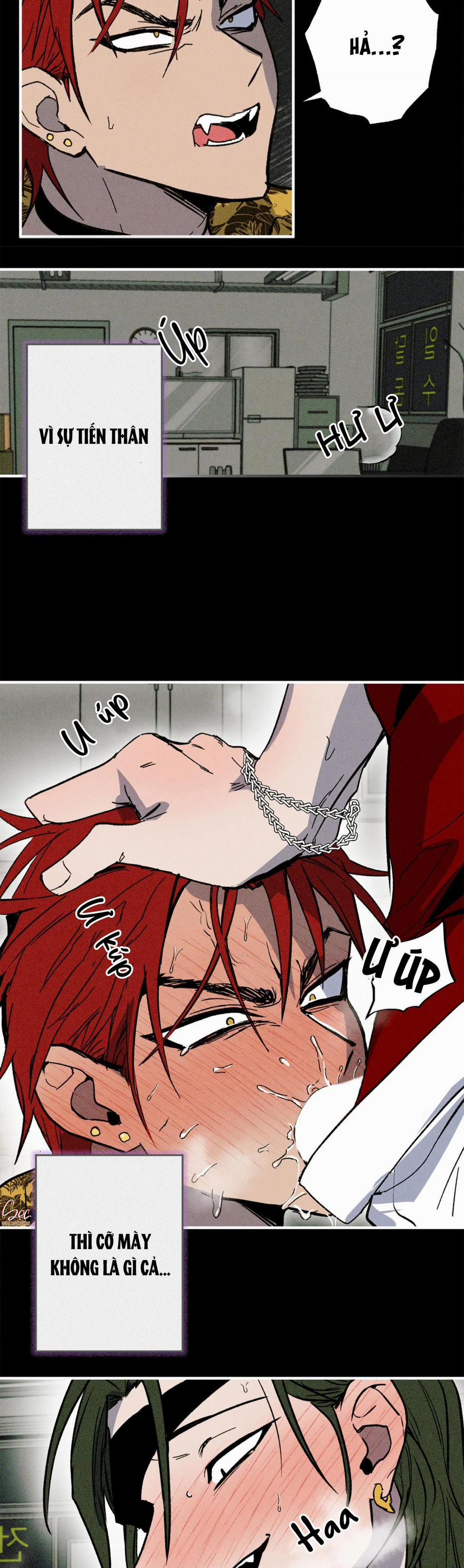 NEW ROMANCE 28 trang 17