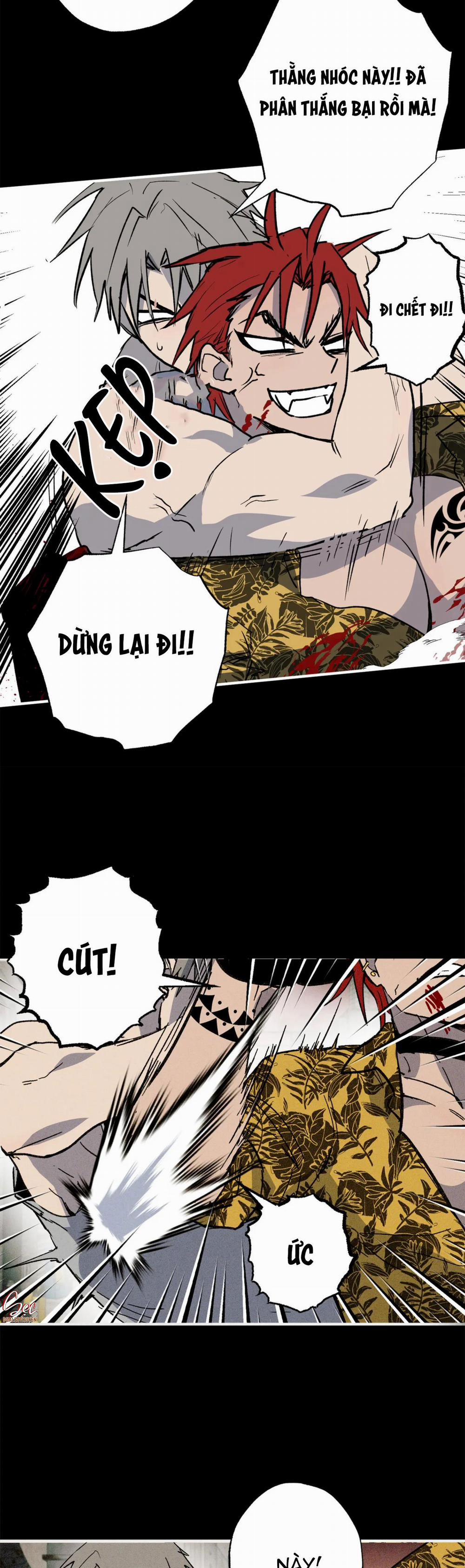 NEW ROMANCE 28 trang 8