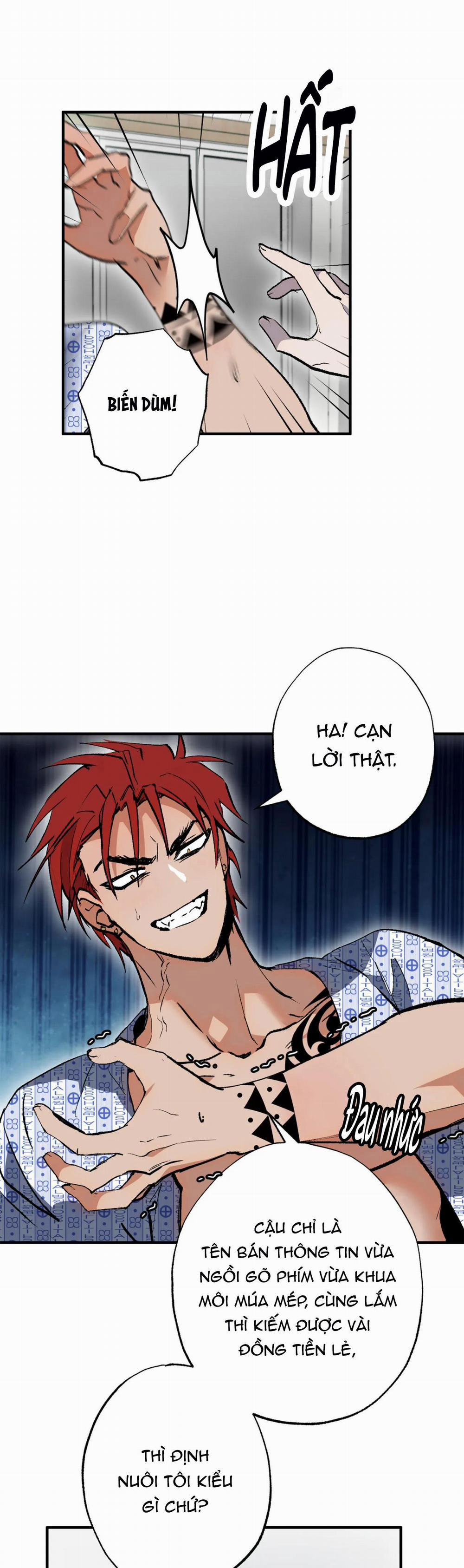 NEW ROMANCE 29 trang 1