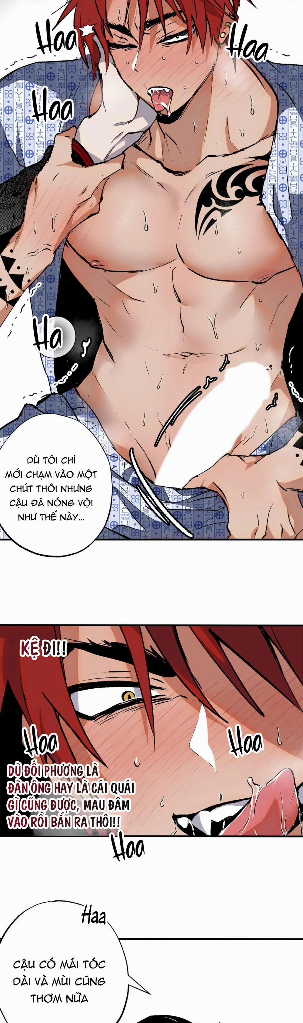 NEW ROMANCE 29 trang 17