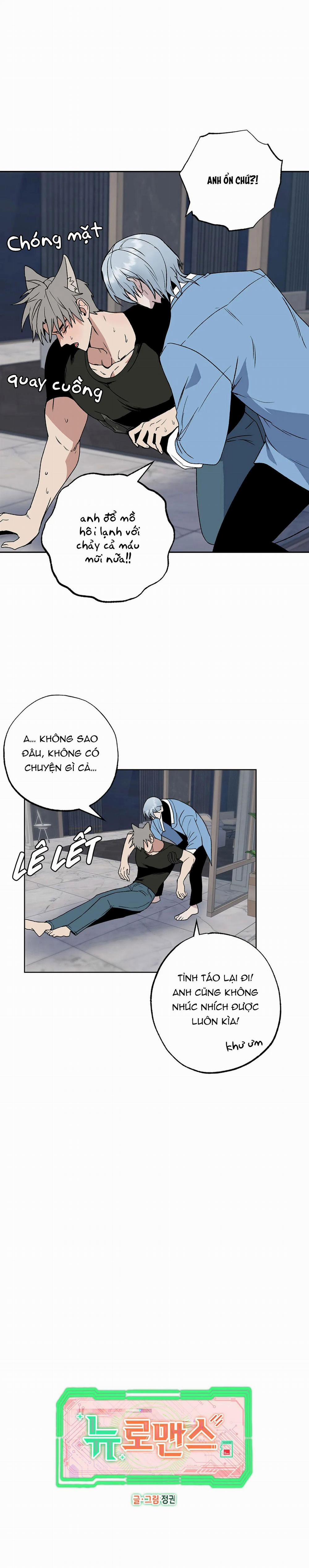 NEW ROMANCE 3 trang 0