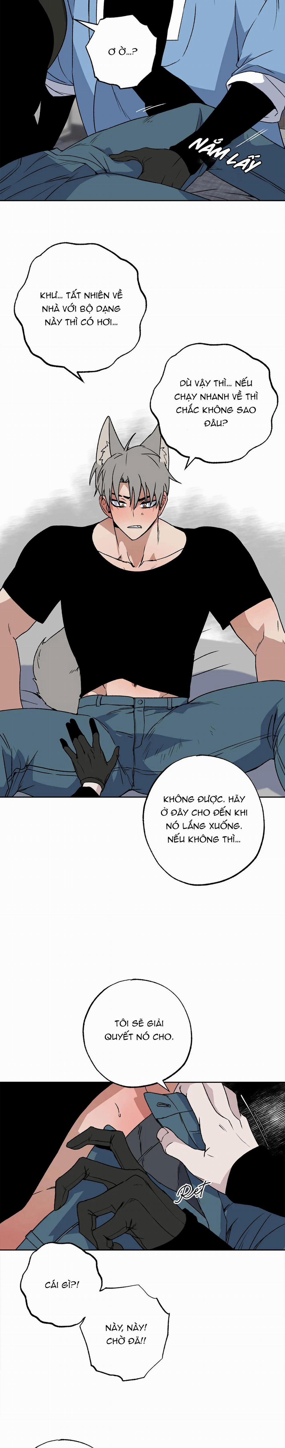 NEW ROMANCE 3 trang 4