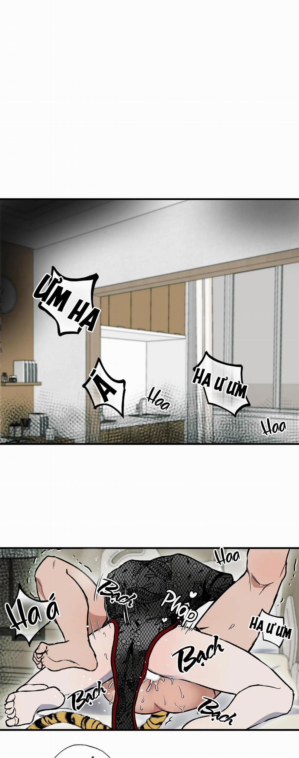 NEW ROMANCE 30 trang 14