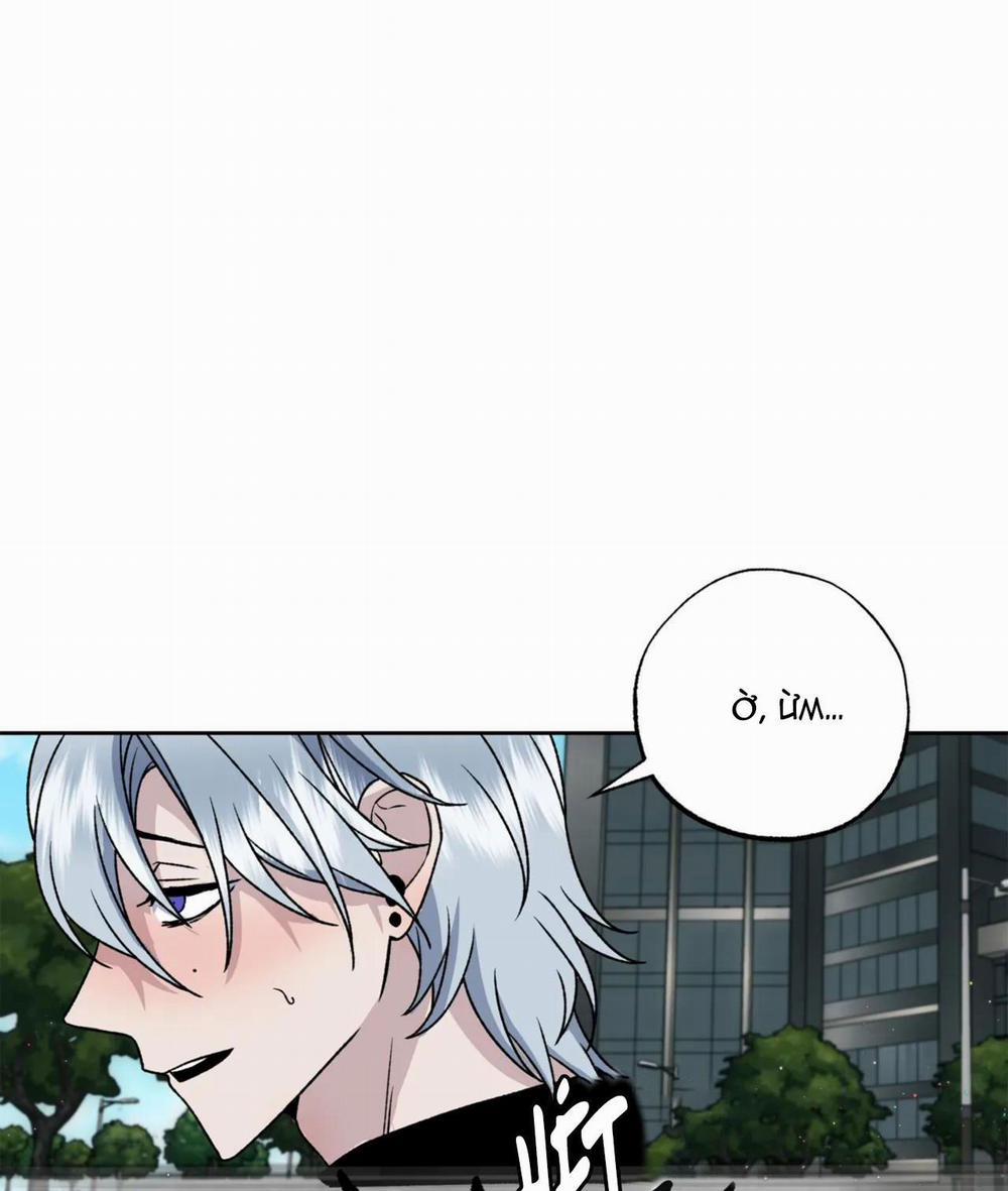 NEW ROMANCE 4 trang 13