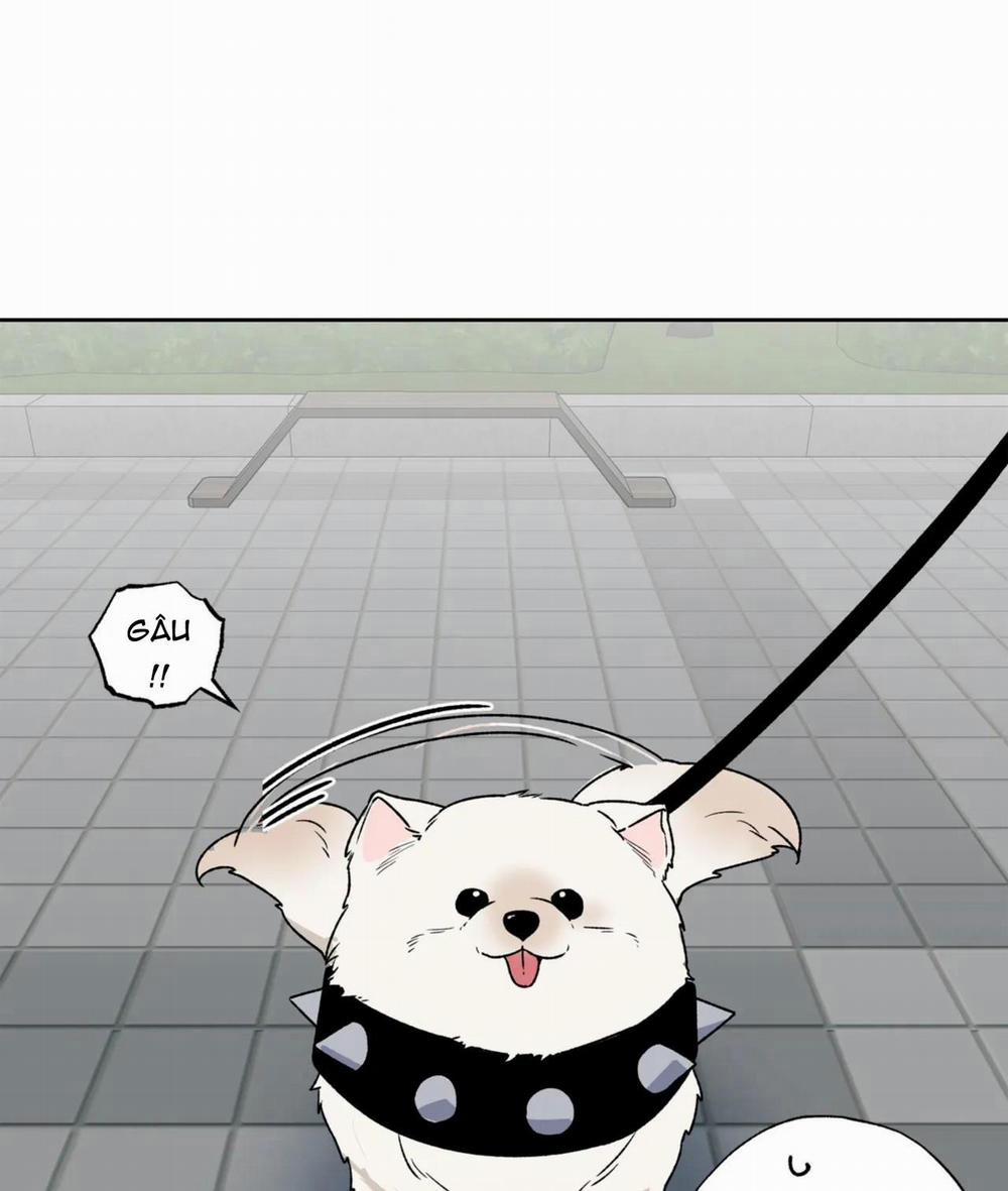 NEW ROMANCE 4 trang 17