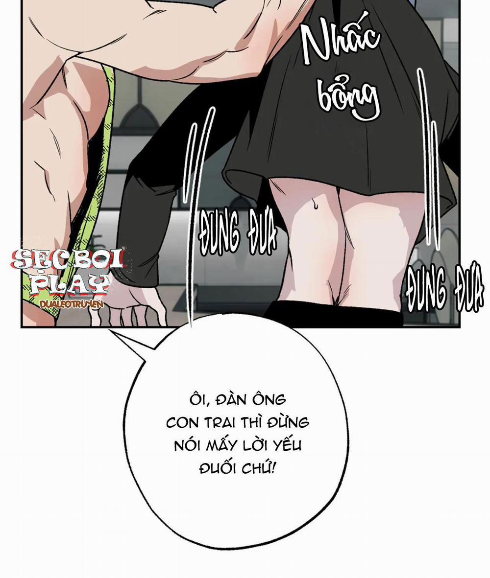 NEW ROMANCE 4 trang 5