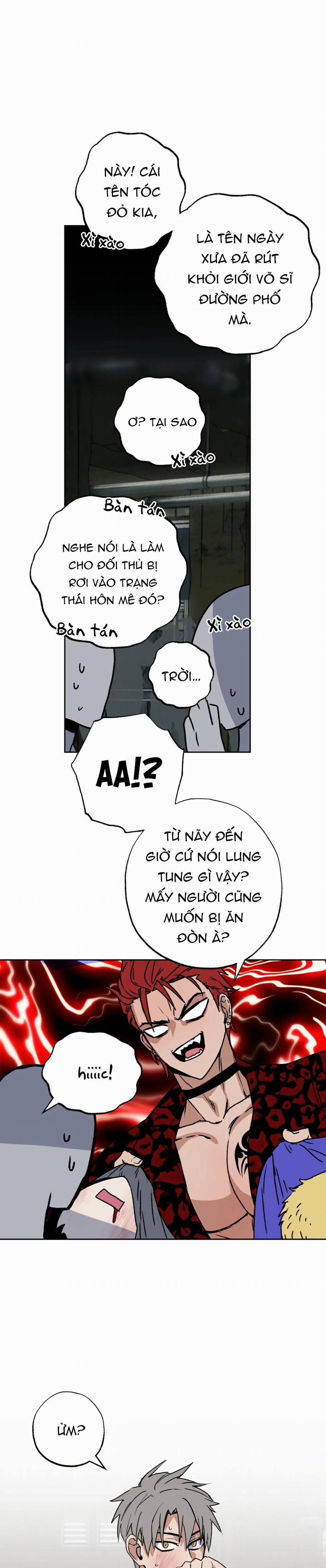 NEW ROMANCE 5 trang 0