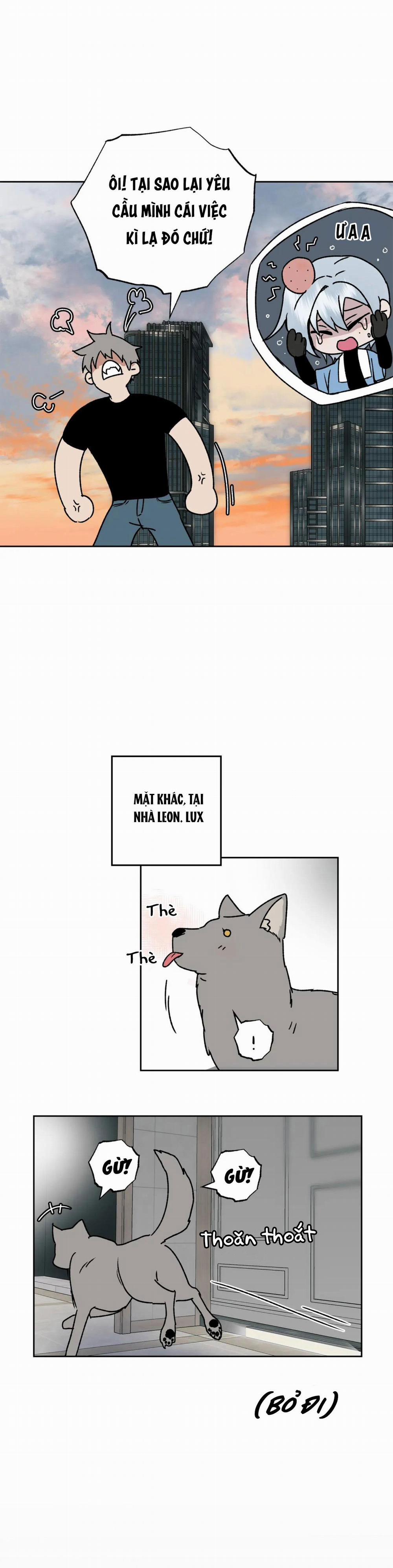 NEW ROMANCE 6 trang 1