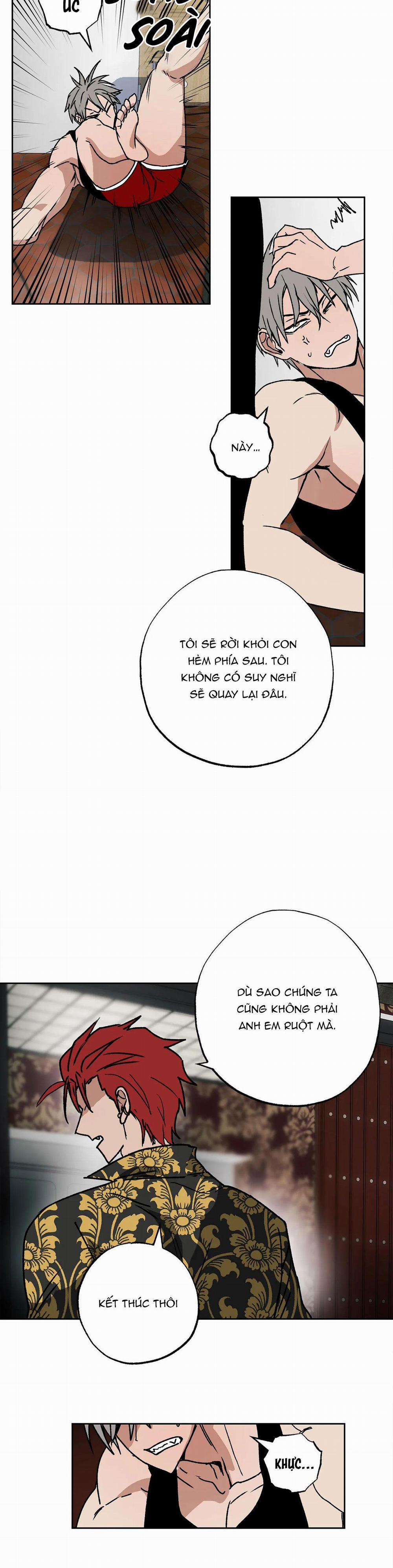 NEW ROMANCE 6 trang 11