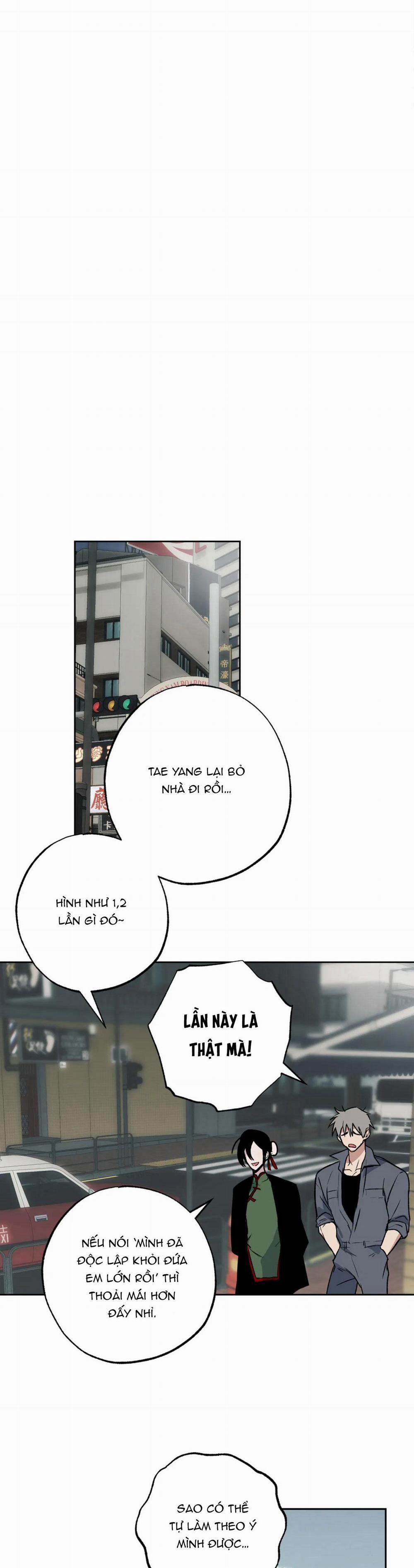 NEW ROMANCE 6 trang 12