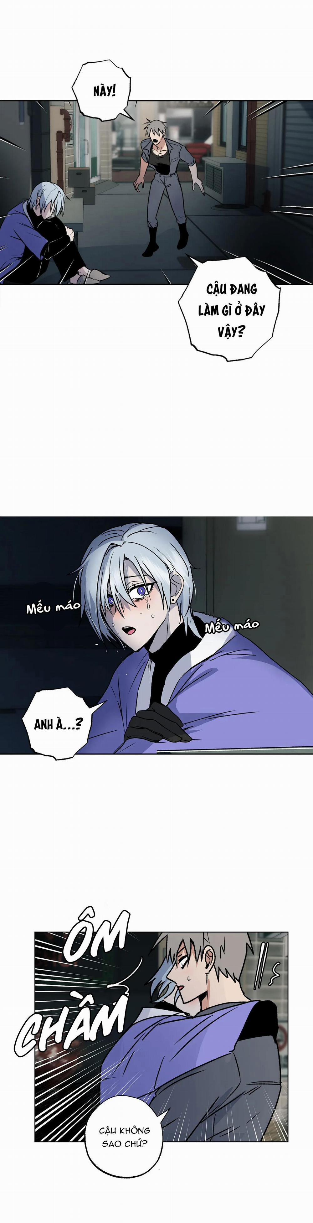 NEW ROMANCE 6 trang 15