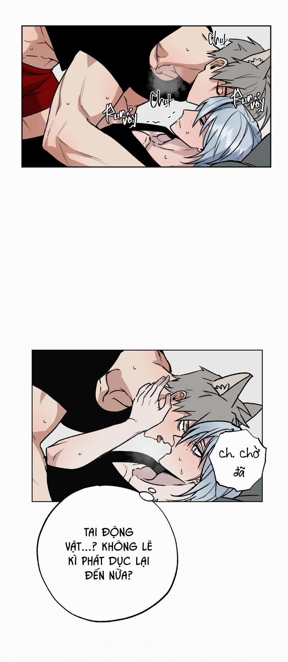 NEW ROMANCE 7 trang 10