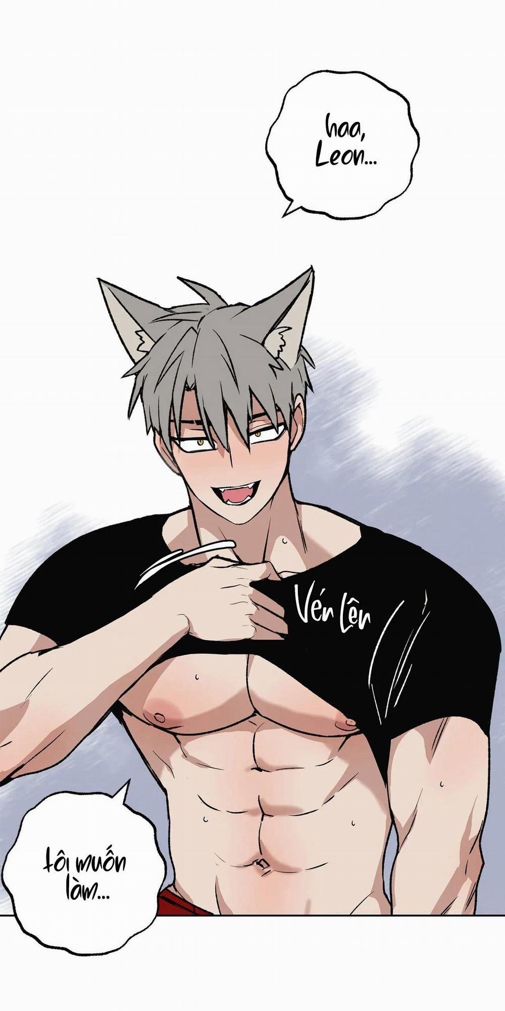 NEW ROMANCE 7 trang 11