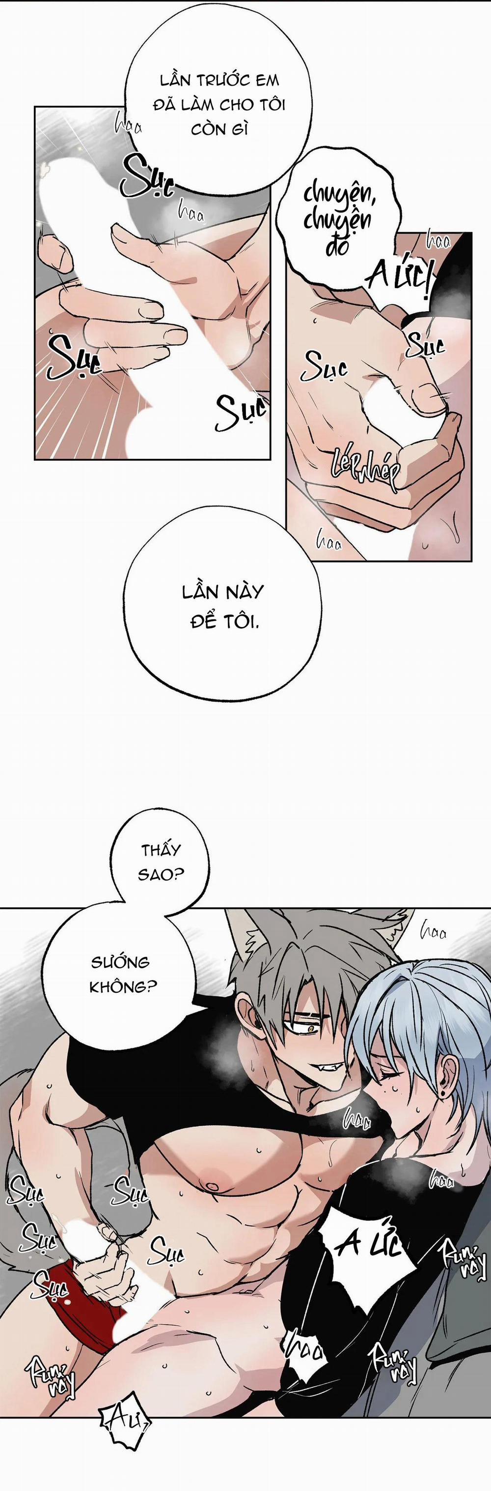 NEW ROMANCE 7 trang 13