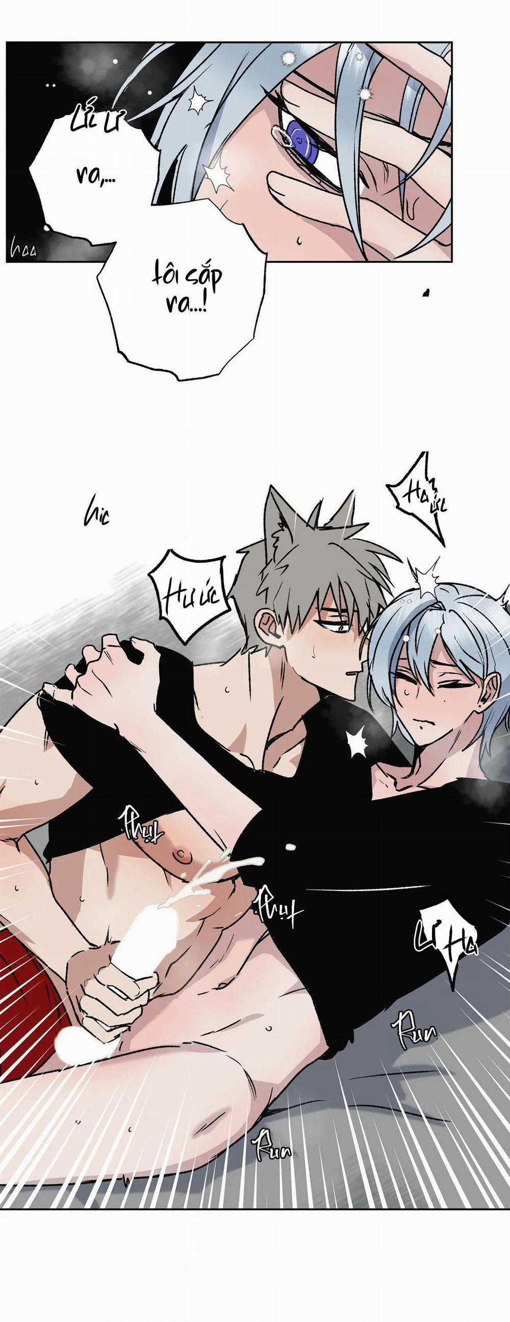 NEW ROMANCE 7 trang 14