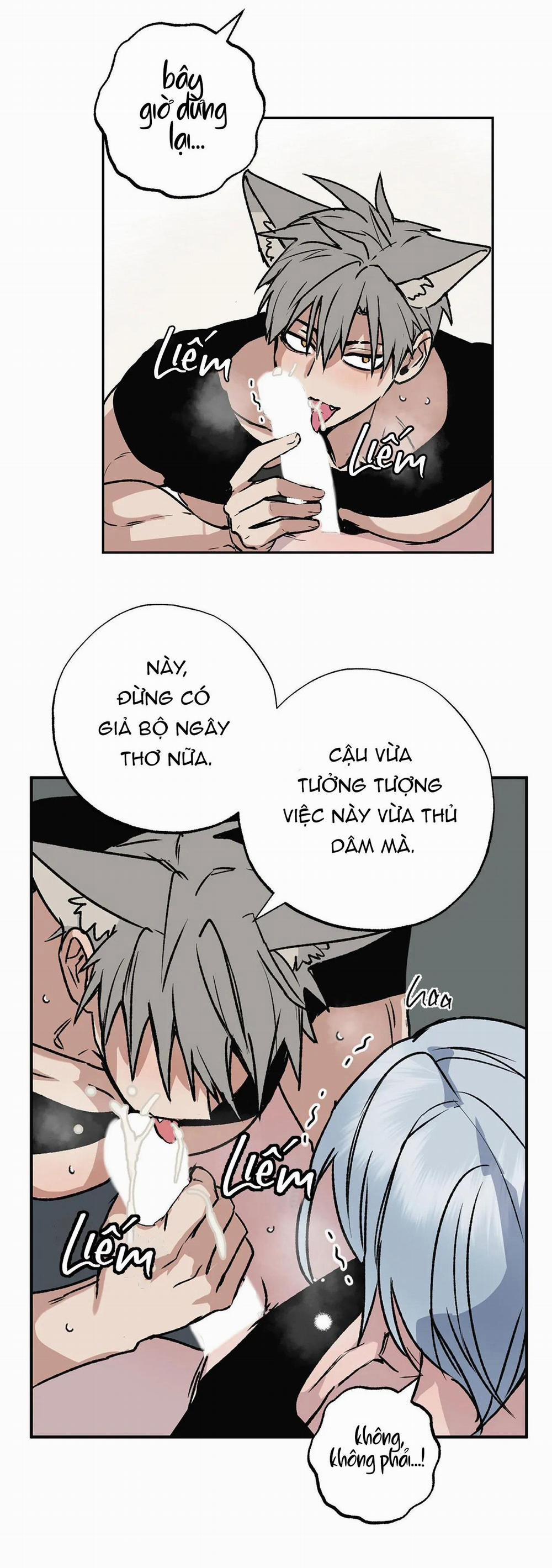 NEW ROMANCE 7 trang 17